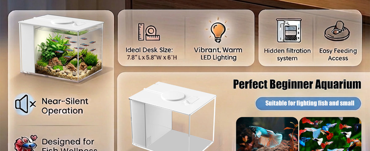 ffd9daf3-84df-47b5-9709-292a284acf12